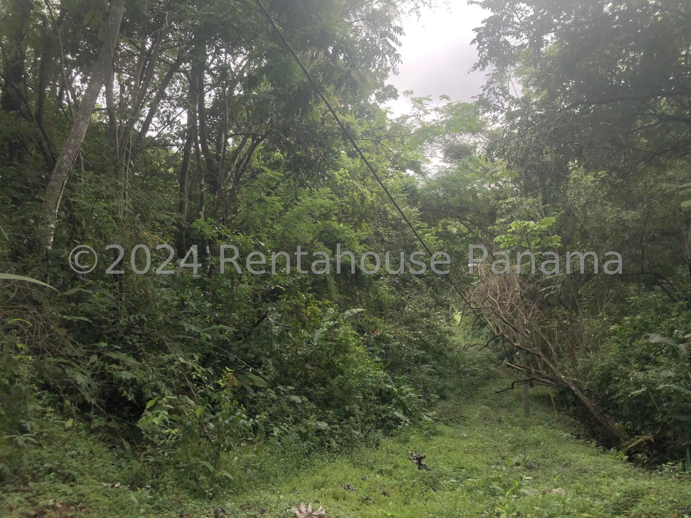 Land for Sale in Panama City Panamá Province 07104